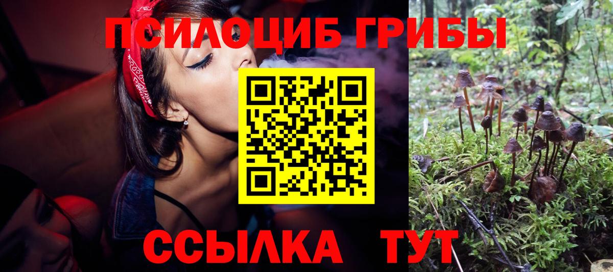 Галлюциногенные грибы Cubensis Пушкино