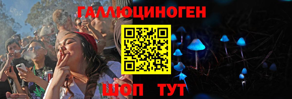 Псилоцибиновые грибы Cubensis  Вход с VPN  Пушкино 